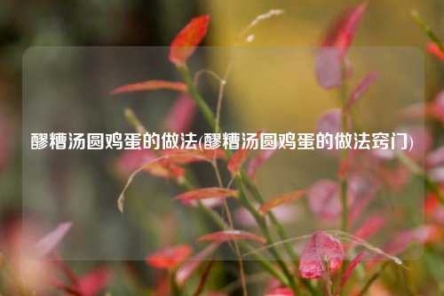 醪糟汤圆鸡蛋的做法(醪糟汤圆鸡蛋的做法窍门)