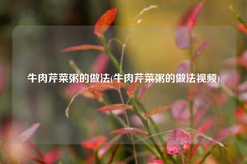 牛肉芹菜粥的做法(牛肉芹菜粥的做法视频)