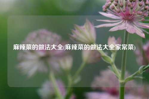 麻辣菜的做法大全(麻辣菜的做法大全家常菜)