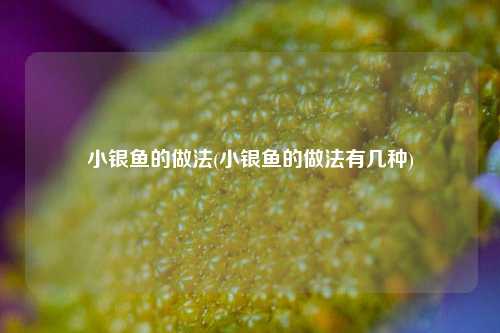 小银鱼的做法(小银鱼的做法有几种)