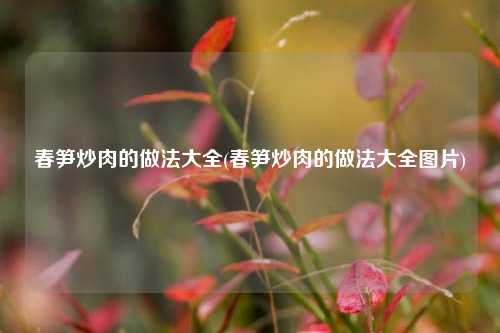 春笋炒肉的做法大全(春笋炒肉的做法大全图片)