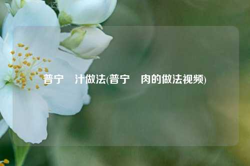 普宁粿汁做法(普宁粿肉的做法视频)