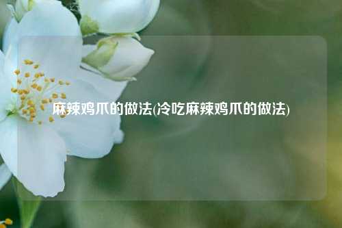 麻辣鸡爪的做法(冷吃麻辣鸡爪的做法)