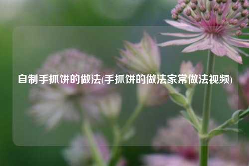 自制手抓饼的做法(手抓饼的做法家常做法视频)