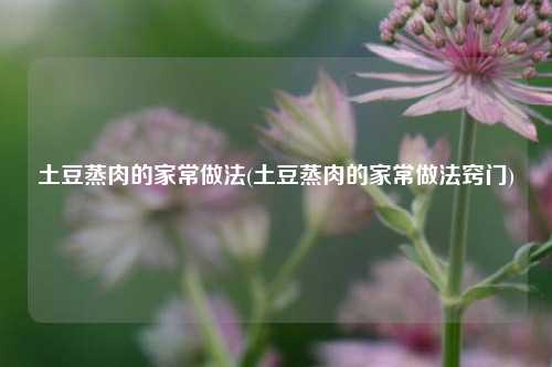 土豆蒸肉的家常做法(土豆蒸肉的家常做法窍门)