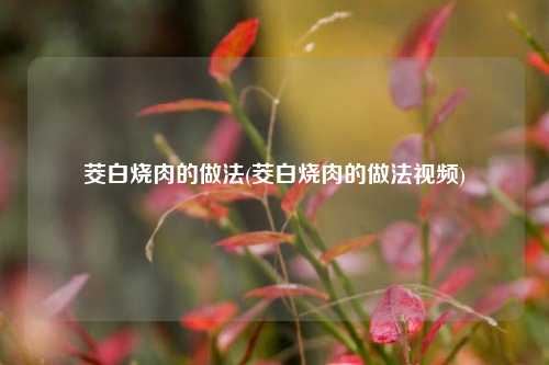 茭白烧肉的做法(茭白烧肉的做法视频)