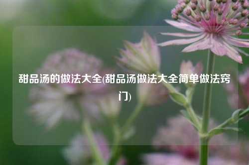 甜品汤的做法大全(甜品汤做法大全简单做法窍门)