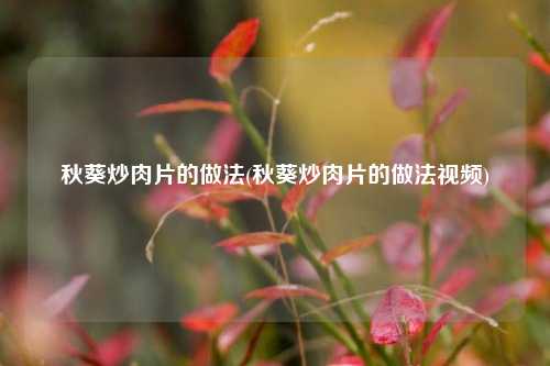 秋葵炒肉片的做法(秋葵炒肉片的做法视频)