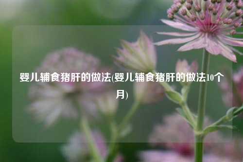 婴儿辅食猪肝的做法(婴儿辅食猪肝的做法10个月)