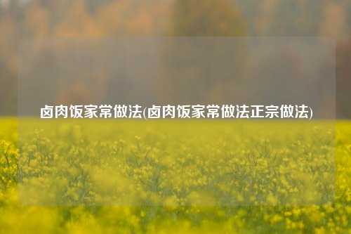 卤肉饭家常做法(卤肉饭家常做法正宗做法)