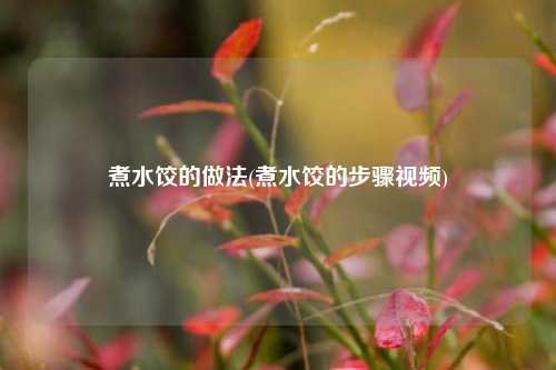 煮水饺的做法(煮水饺的步骤视频)