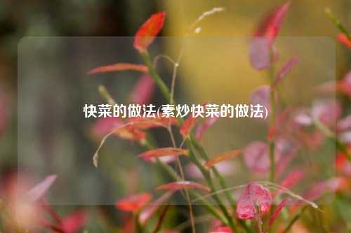 快菜的做法(素炒快菜的做法)