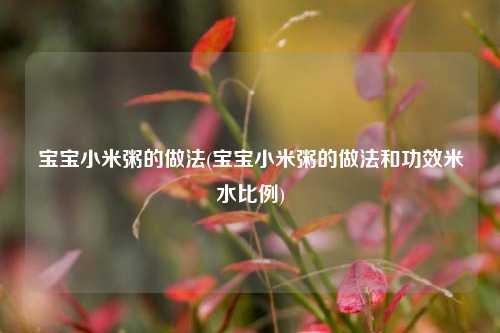 宝宝小米粥的做法(宝宝小米粥的做法和功效米水比例)